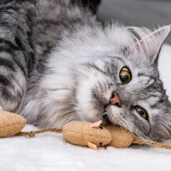 Katzenspielzeug Our Pets Maus, 3-teilig