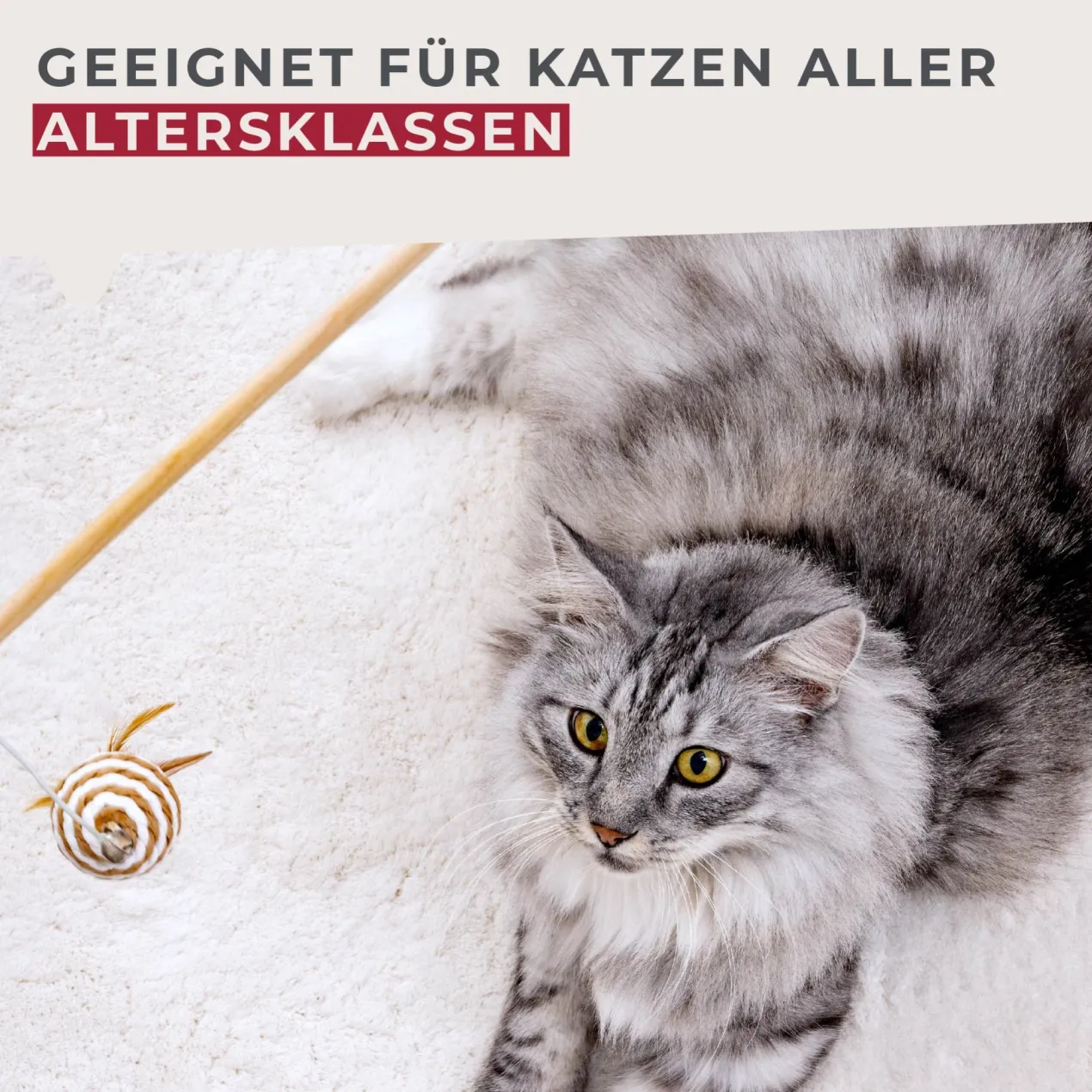 Spielzeugangel für Katzen Our Pets