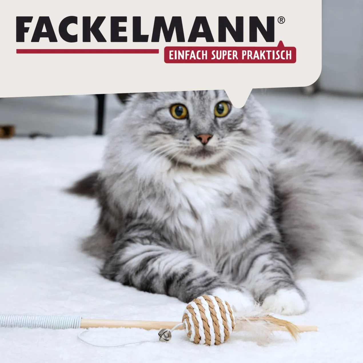 Spielzeugangel für Katzen Our Pets